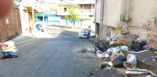 Recolectaron más de 800 toneladas de basura en playas