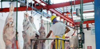 Acredita Cuba a 30 plantas mexicanas para exportar de carne de cerdo, res y ave