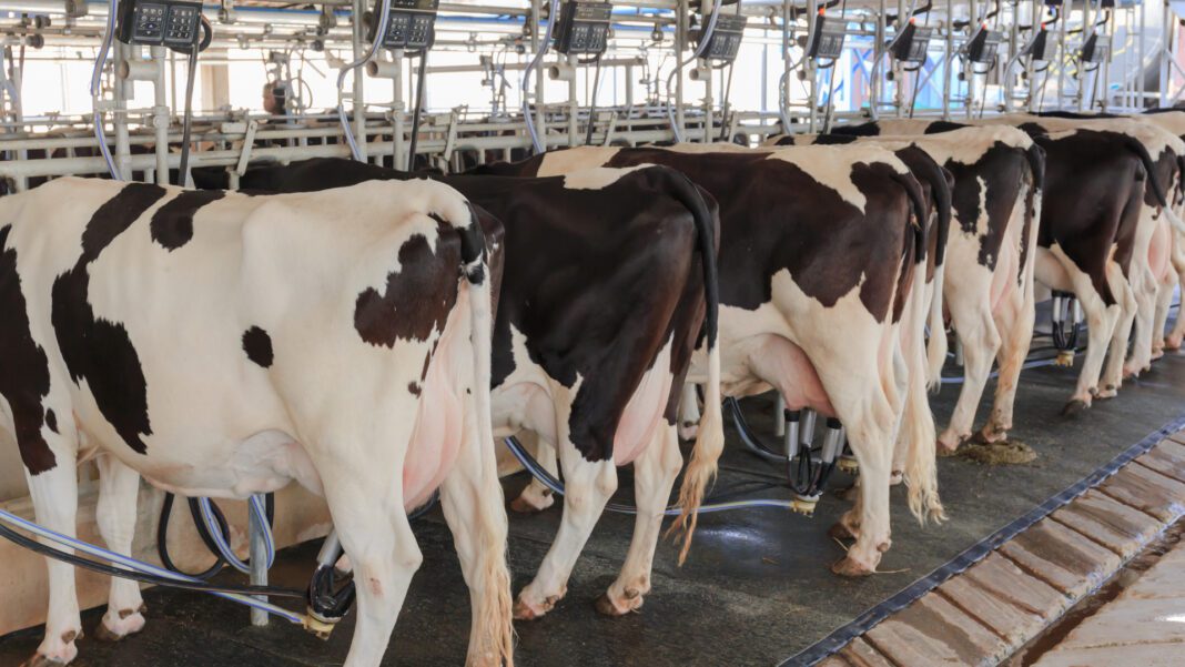 Agricultura y productores de leche impulsan estrategias para garantizar productividad y abasto