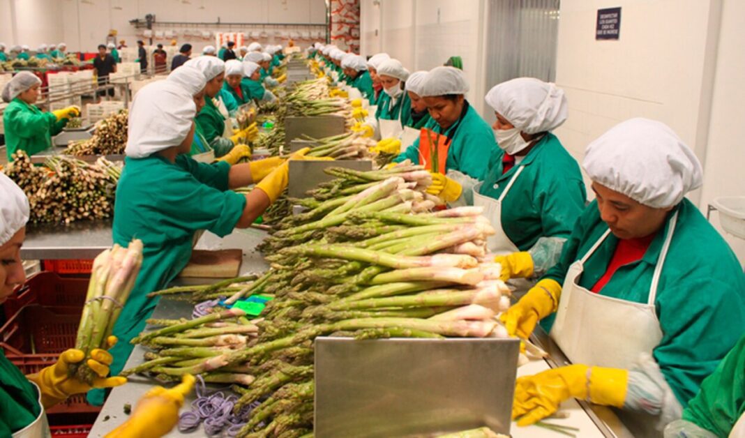 México registra superávit agroalimentario de mi 558 mdd, en primer bimestre de 2022