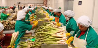 México registra superávit agroalimentario de mi 558 mdd, en primer bimestre de 2022