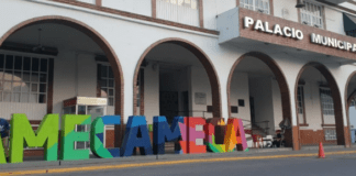 Muerte de canes en Amecameca; Fiscalía General determinará responsables