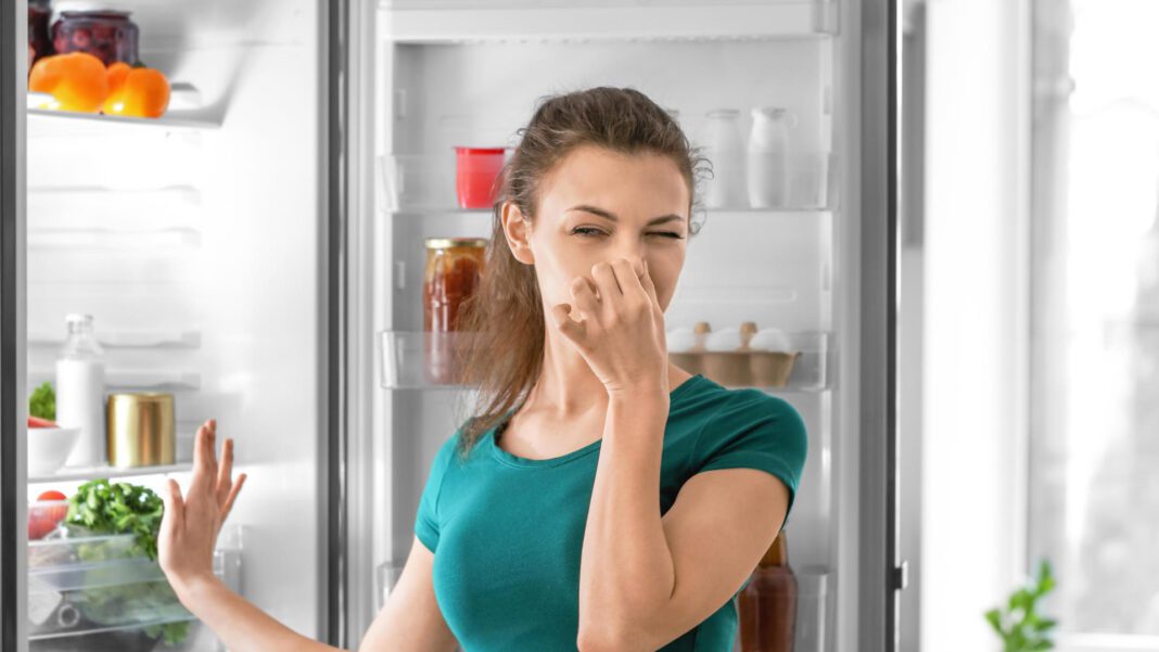 Tecnología en casa: 5 mitos sobre los refrigeradores actuales